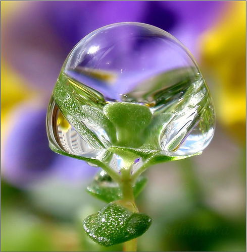 Валентина Мочалова