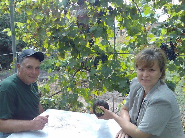 Александр Гуленко