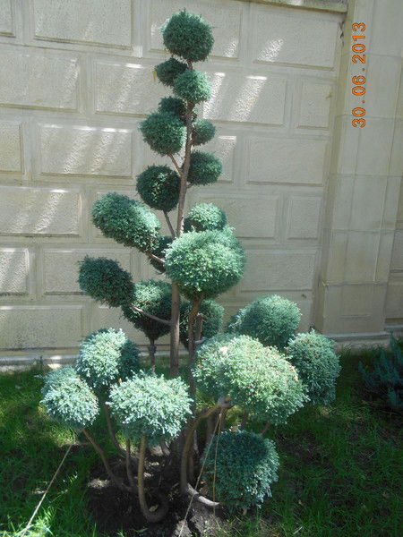 Мымрочка Мымрочка