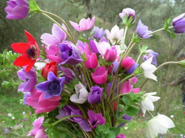 Белова Лариса