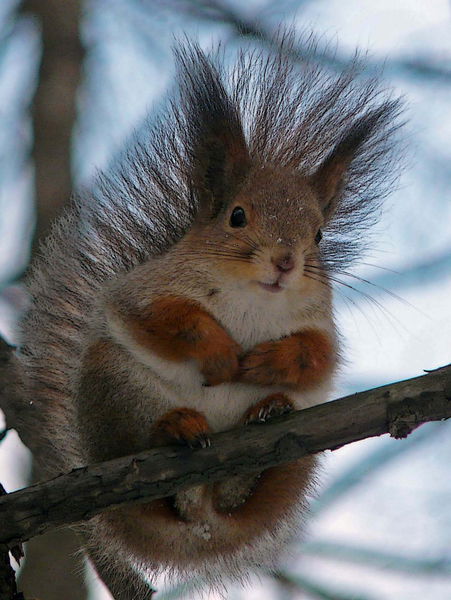 Валерия Юрова