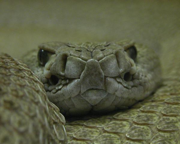 Руслан Гнатенко