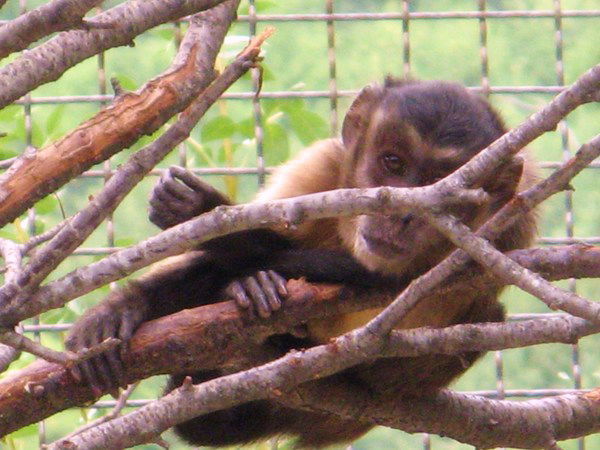 Геннадий Канарский