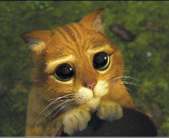 Денис Гимадеев