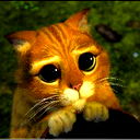 Денис Гимадеев