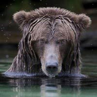 Марат Шамигулов