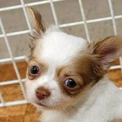 Алёна Кузьмич