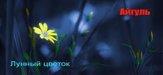 Айгул Омарова