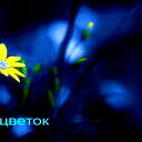 Айгул Омарова