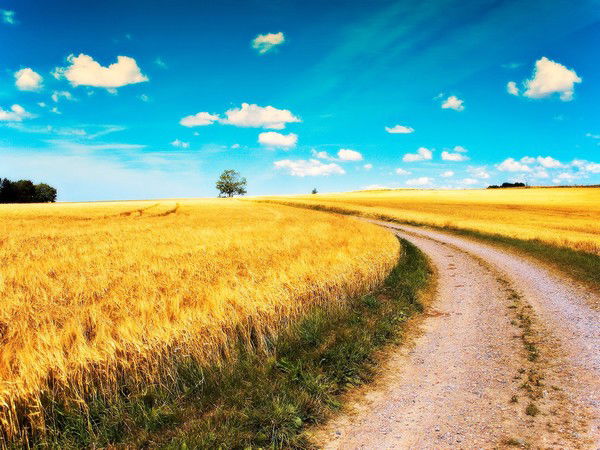 Алик Валеев