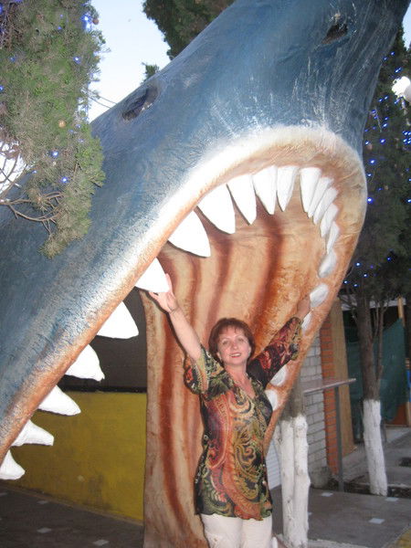 Ирина Степаненко