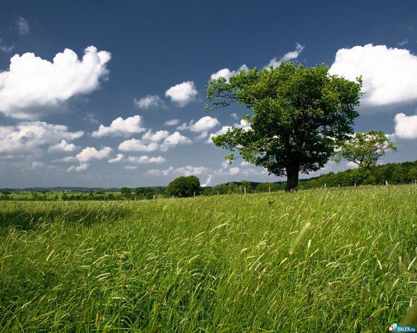 Спецшкола Интернат