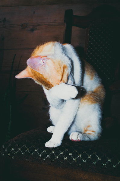 Kakha Khimshiashvili