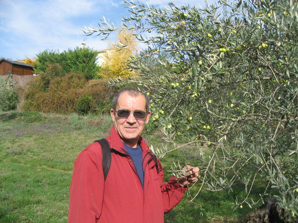 Владимир Старков