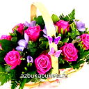 M@rish@ Kardashova
