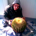 Tima Star