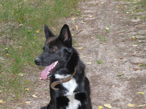 Юрий Сапунов