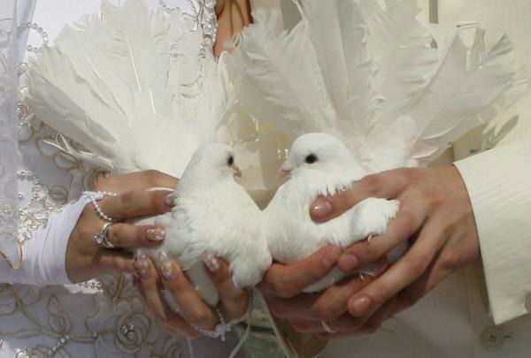 Айжан Тулешова