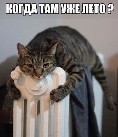 Кирилл Артамонов