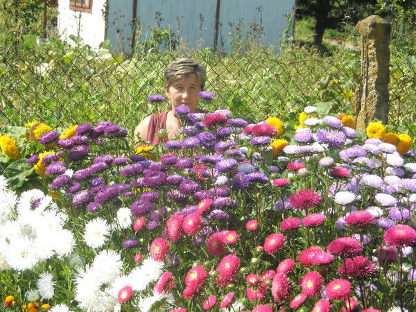 Оля \гейвич\сегин