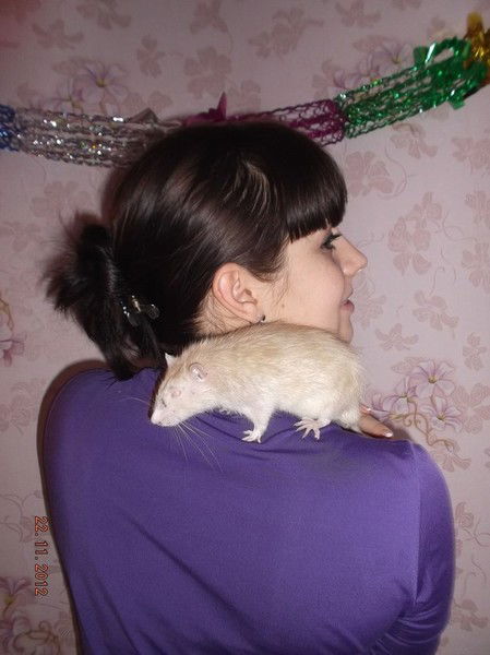 Ирина Сергеева