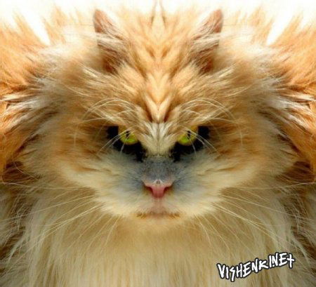 Геннадий Малицкий