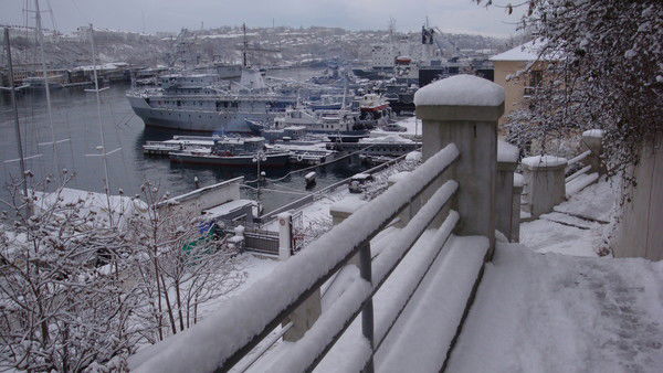 Ирина Соколенко