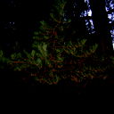 Андрей Кандаков