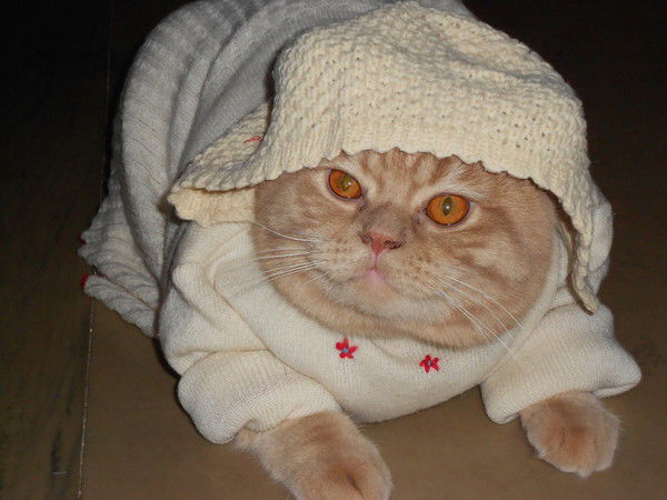 Анна Савченко