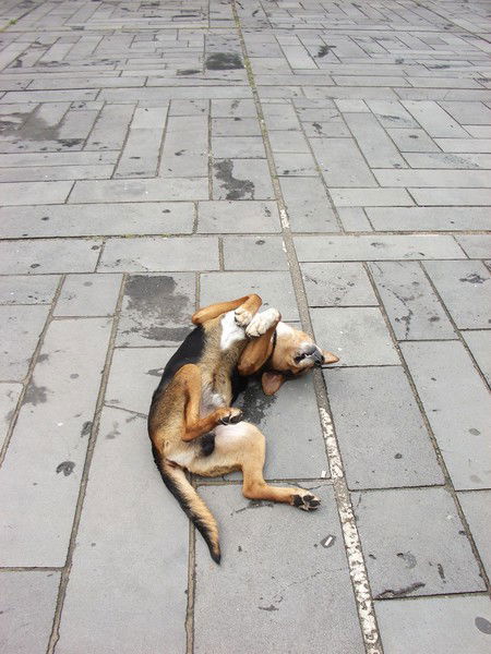 Евгений Тагай