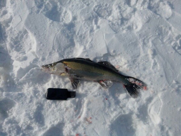 Попов Геннадий