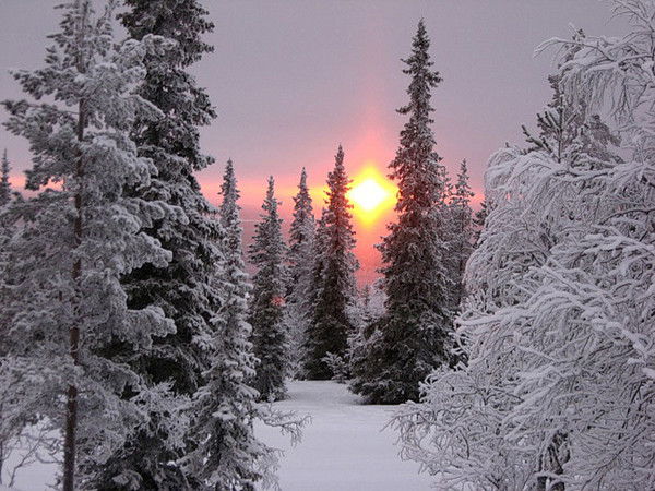 Василий Богачик