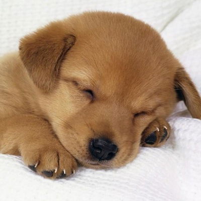 Полина Маратаева