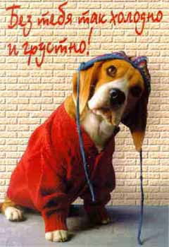 Алсу Хамзина