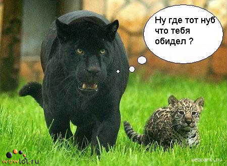 Кирилл Кочетков