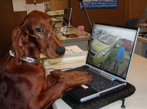 Хе Влад@mail.ru