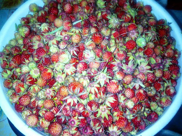 Галина Изюмова