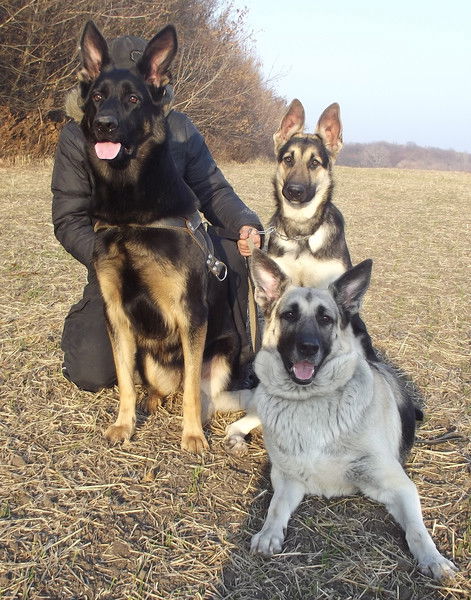 Света Страдомская