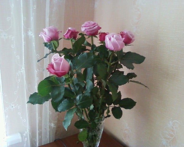 Татьяна Марченко