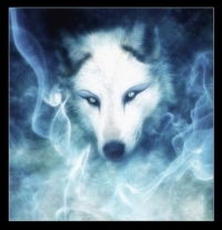 Анастасия Волкова