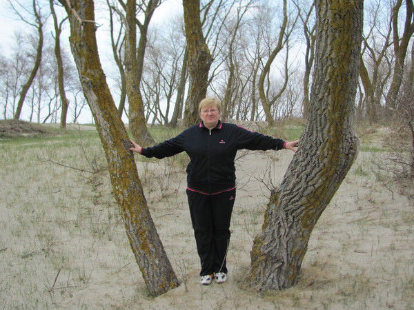 Алла Сафонова