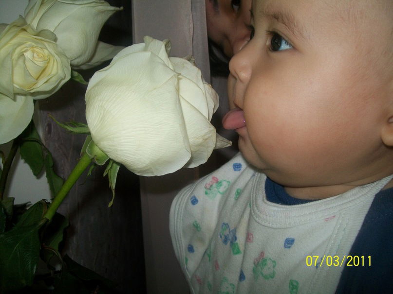 Alika Белочка