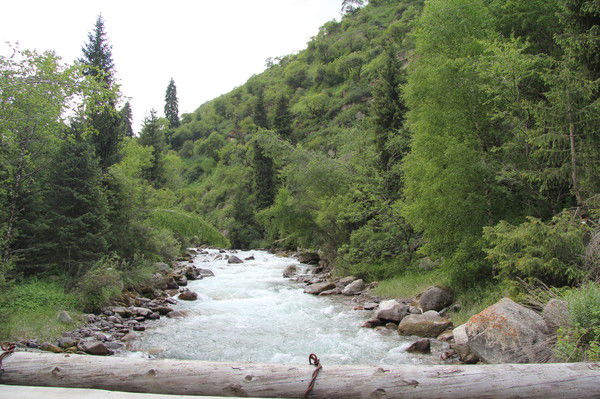 Палыч ))))))))))