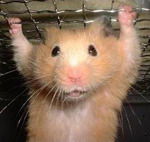 Александр Смирнов