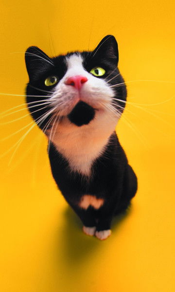 Влад @@@@ Зинин