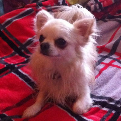 Валерия Лобань