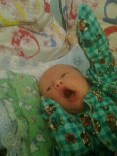 Жулдыз Минаева