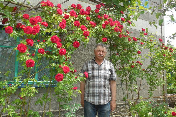 Василий Шульга