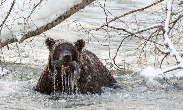 Вова Гурков