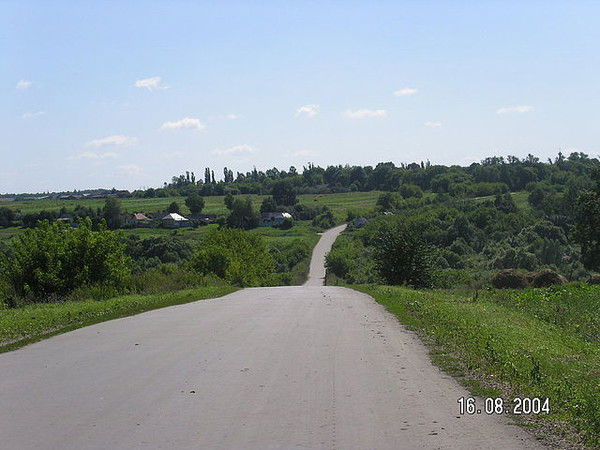 Светлана Булгакова